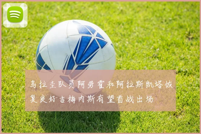 乌拉圭队员阿劳霍和阿拉斯凯塔恢复良好吉梅内斯有望首战出场